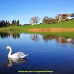 Schoene Im Allgaeu Bei Kempten Urlaub Bergblick 70qm Lauben (Oberallgau)