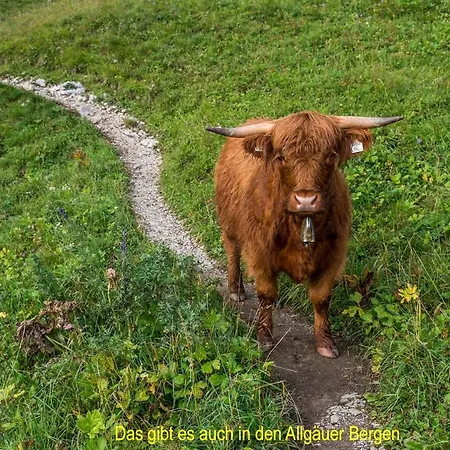 In Bei Kempten 公寓 Lauben (Oberallgau)