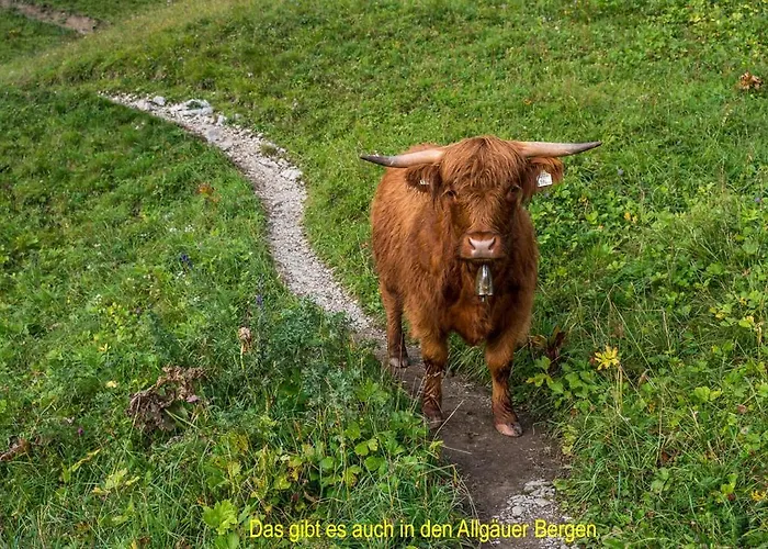 In Bei Kempten 公寓 Lauben (Oberallgau)